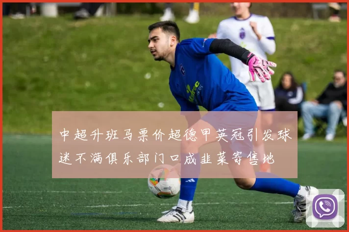 中超升班马票价超德甲英冠引发球迷不满俱乐部门口成韭菜寄售地