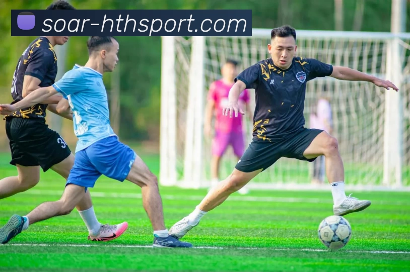 hth体育平台生态图