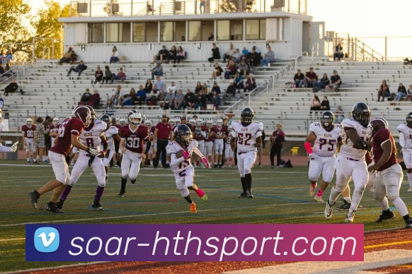 互动解说服务