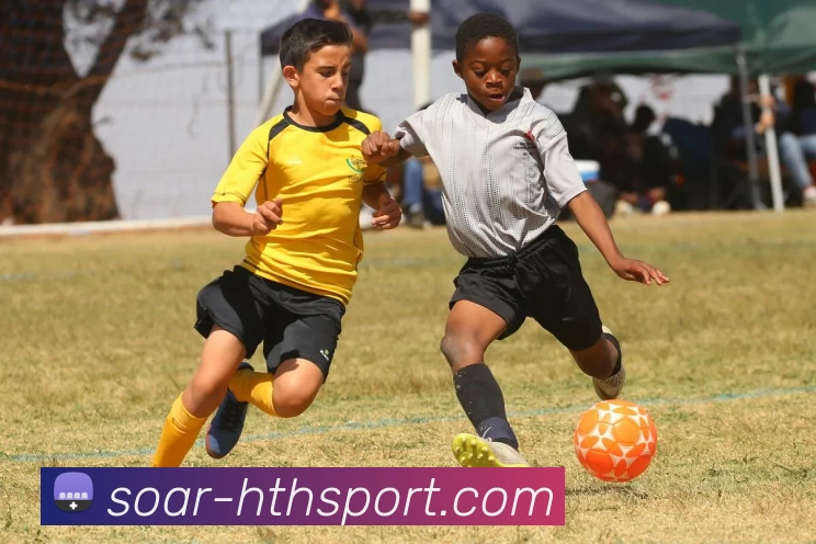 hth体育APP 封面图